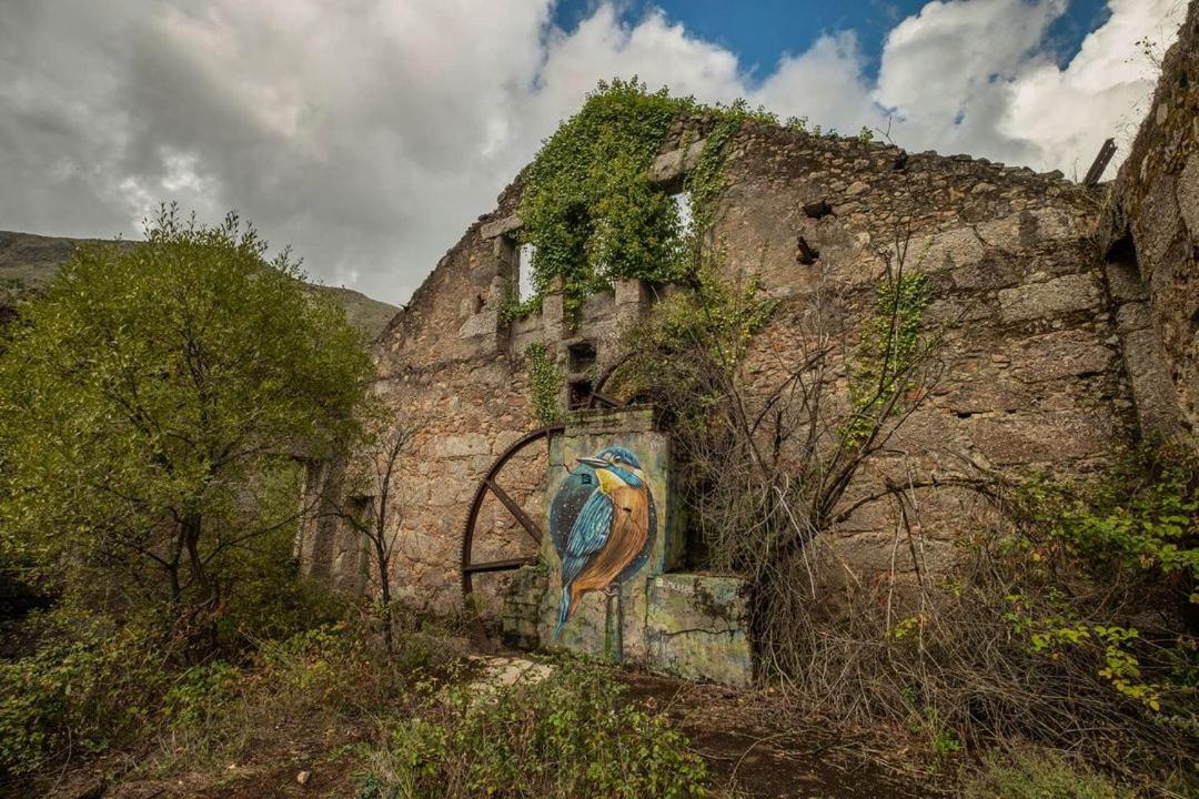 Апартаменты Quinta Do Pina Гуарда Экстерьер фото